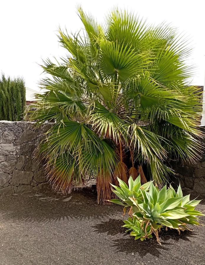 Villa Fortuna Playa Blanca  Luaran gambar